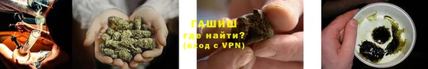 прущие грибы Балахна