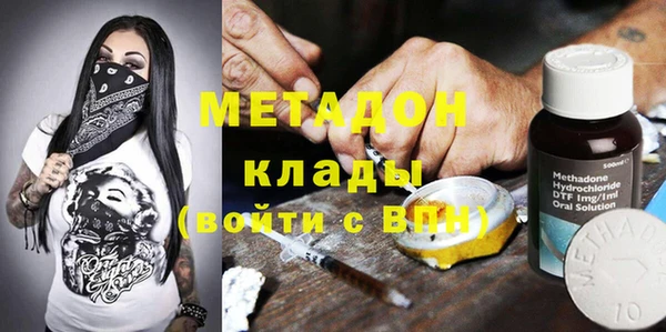 прущие грибы Балахна