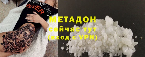 прущие грибы Балахна