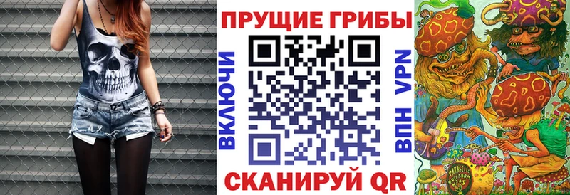 цены наркотик  Реж  Псилоцибиновые грибы Psilocybe 